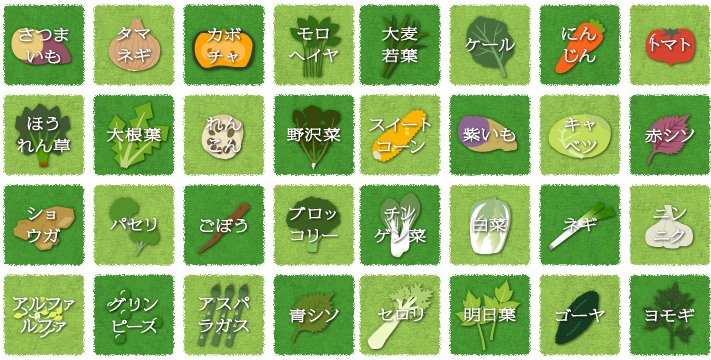 DHC rau Nhật gồm 32 loại rau củ quả